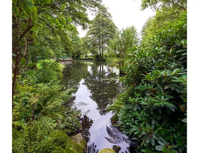 Bed & Breakfast Gradierwerk Suelze 3*