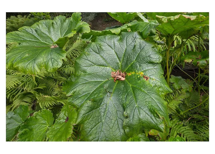 Gradierwerk Suelze 3* Bergen (Lower-Saxony)